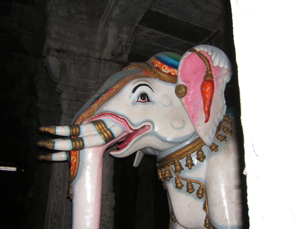india01