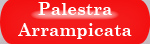 palestra_arrampicata