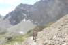 p7250178_small.jpg