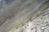p7250189_small.jpg