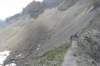 p7250191_small.jpg