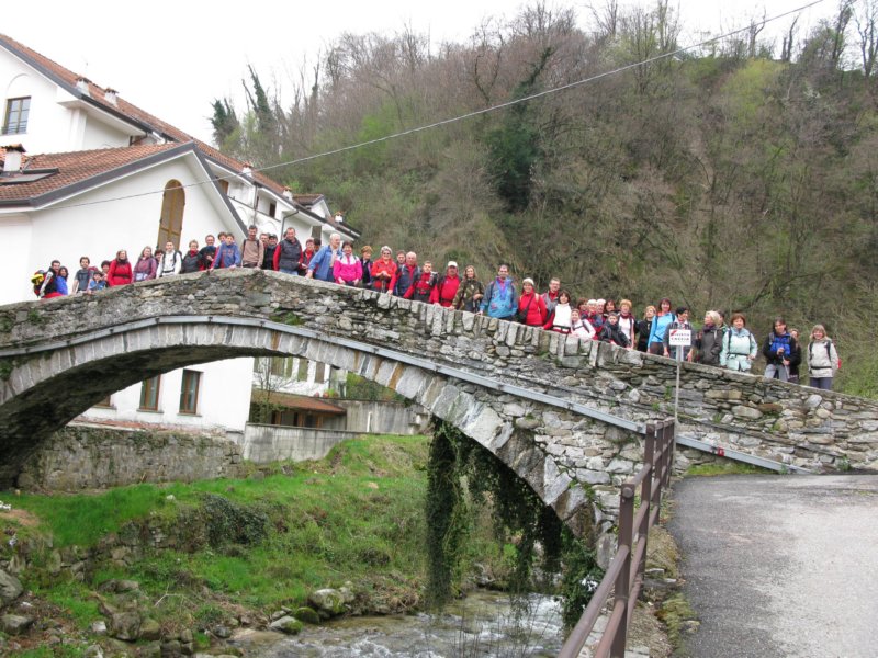 fotodigruppo.jpg