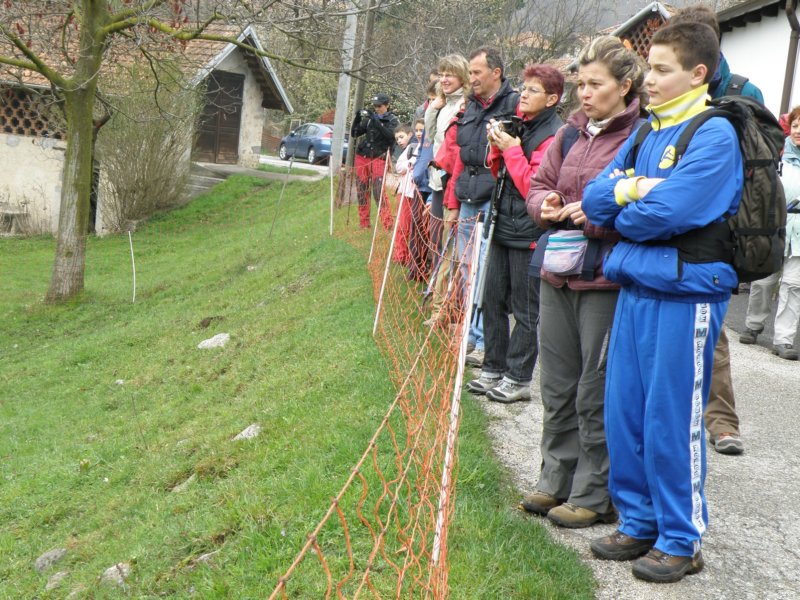 orta25.jpg
