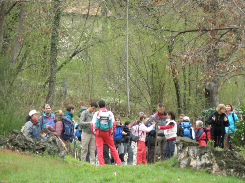 orta28.jpg