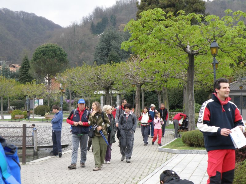orta35.jpg