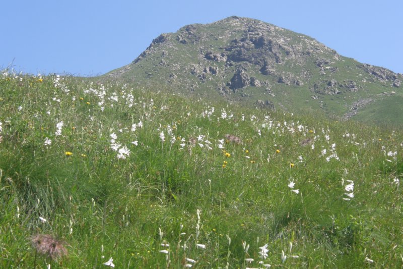 foto7.jpg