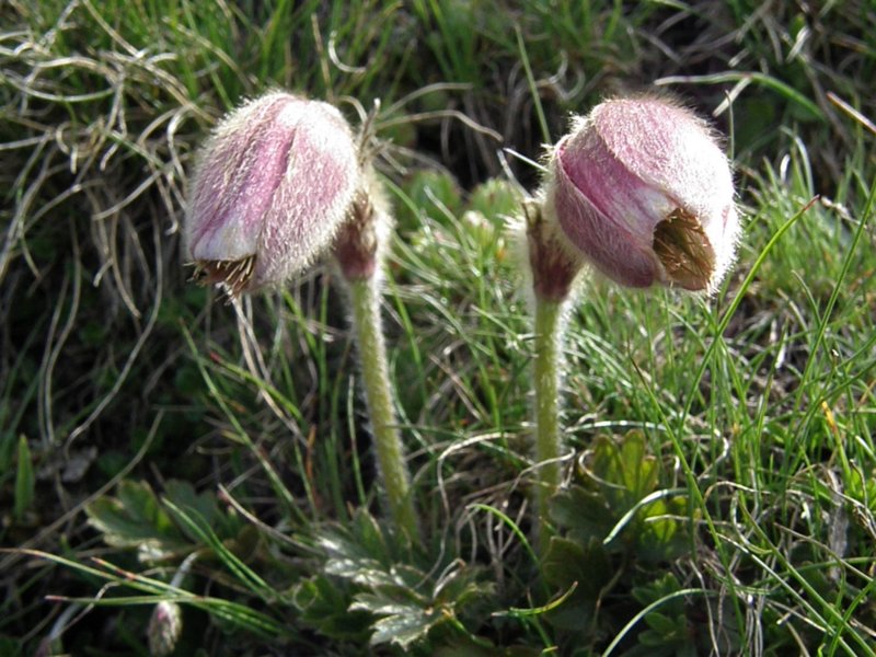 foto11.jpg