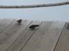 piramide16_small.jpg