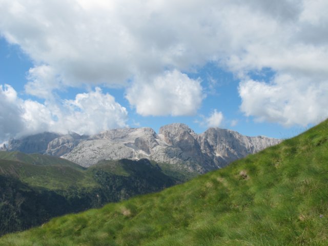 img_0298.jpg
