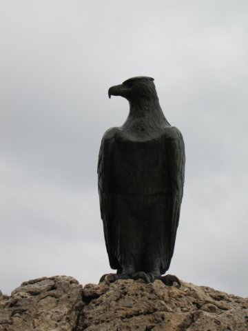 img_0884.jpg