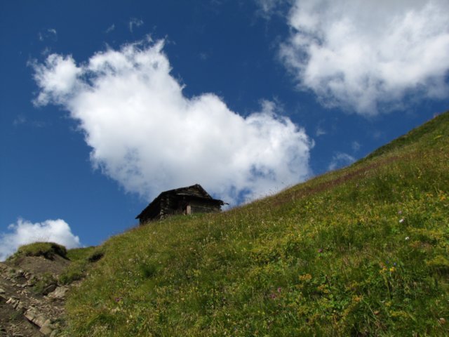 img_1162.jpg