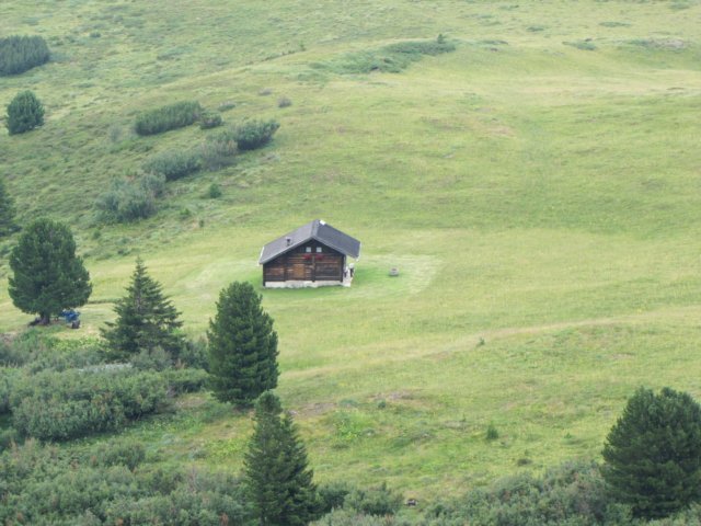 img_1231.jpg
