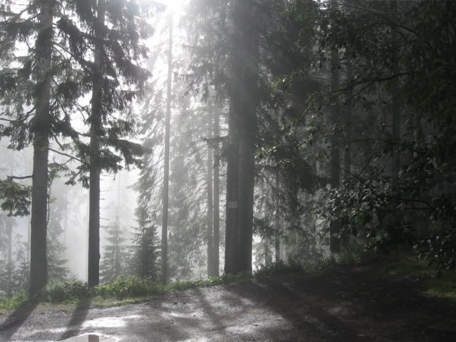 img_2720.jpg