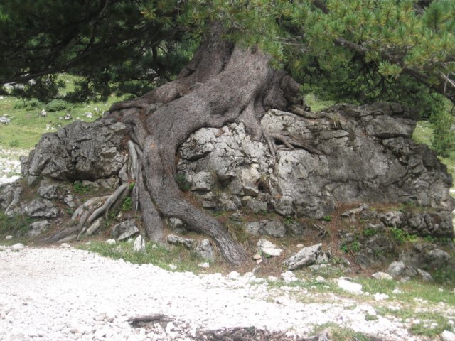 img_2807.jpg