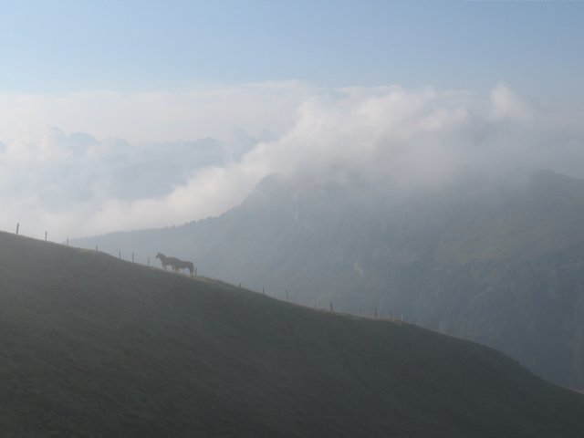img_2848.jpg