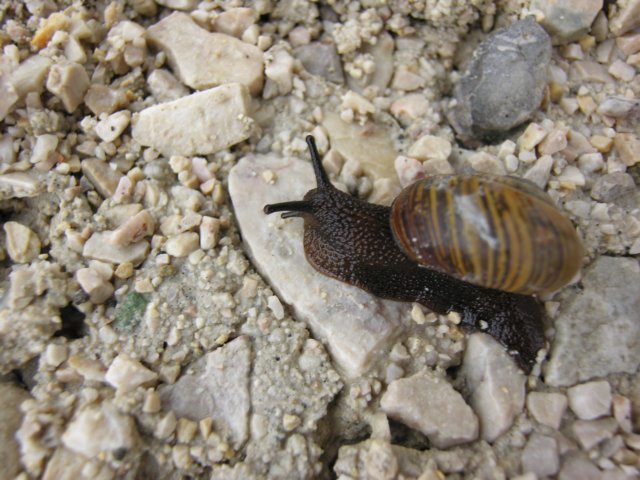 photo2.jpg