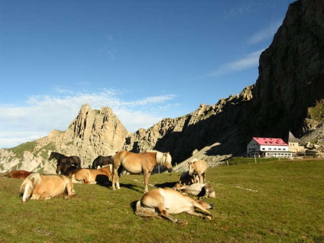 photo8.jpg