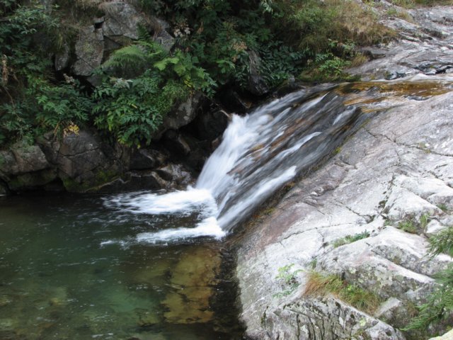 lausetto03.jpg