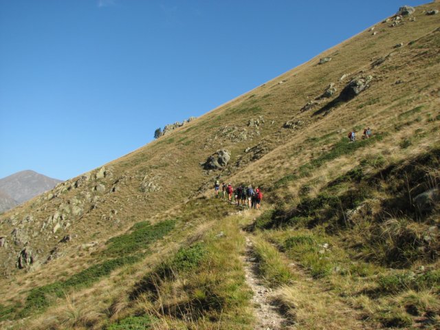 lausetto17.jpg