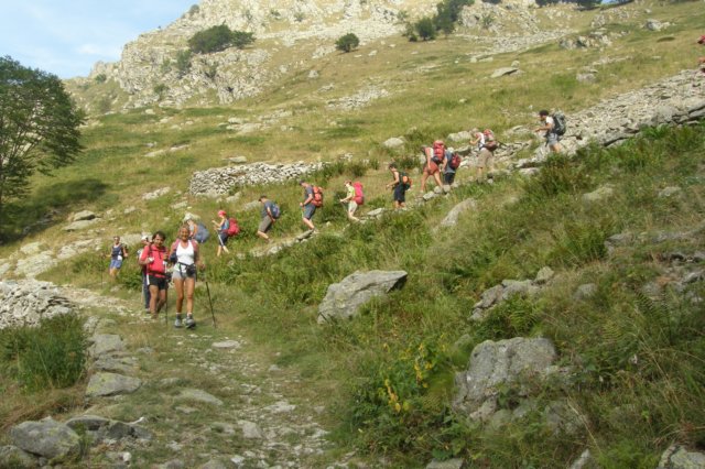 lausetto52.jpg