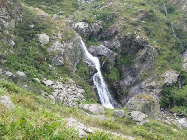 lausetto56.jpg