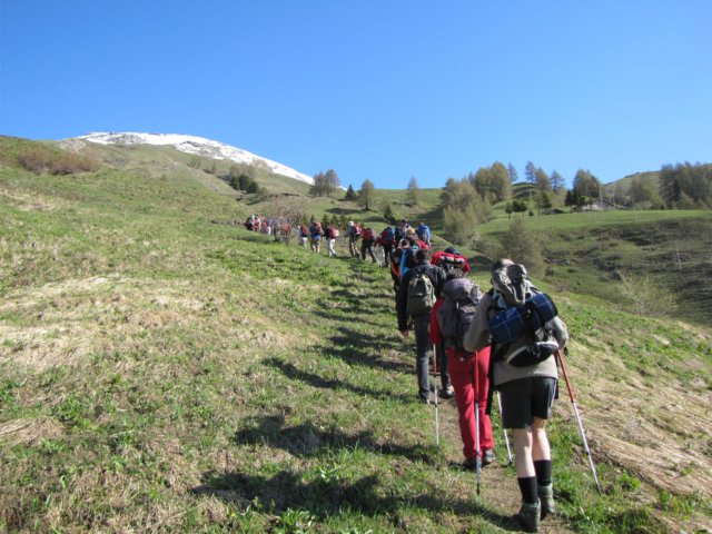 crosetta01.jpg