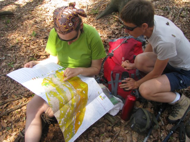 foreste014.jpg