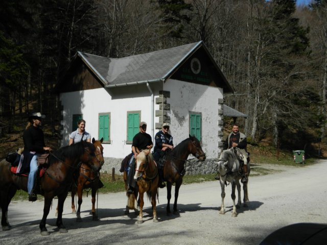 foreste024.jpg