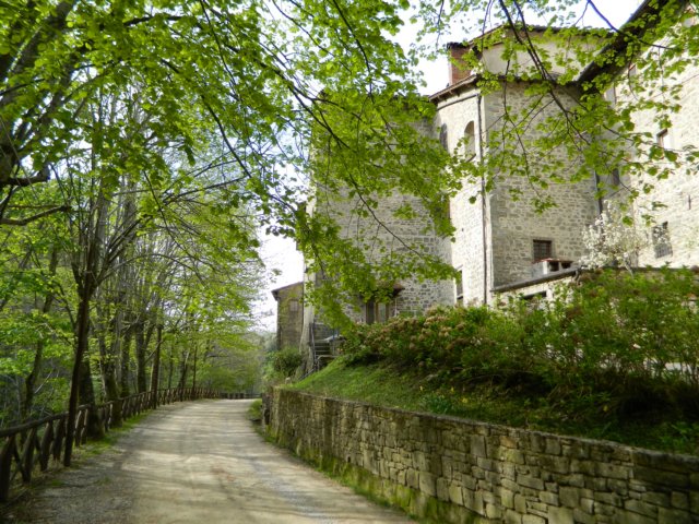 foreste042.jpg