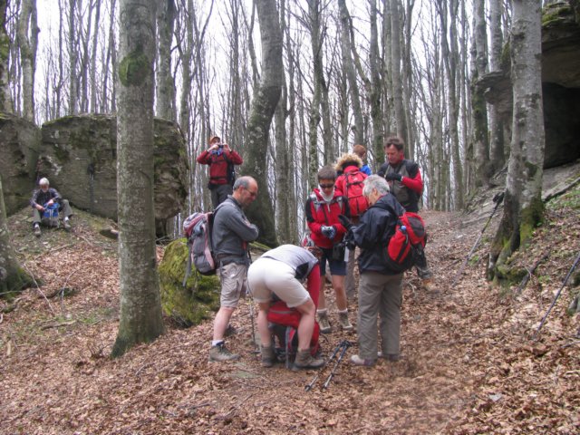 foreste059.jpg