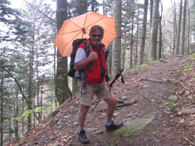 foreste064.jpg