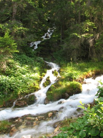 palaronda_037.jpg