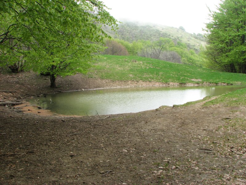 ebro04.jpg