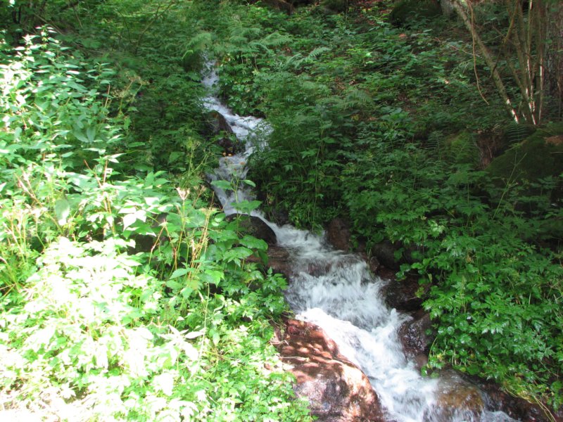 trekorobie003.jpg