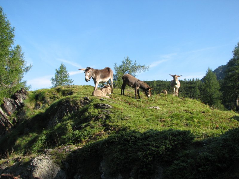 trekorobie082.jpg