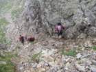 trekorobie368_small.jpg