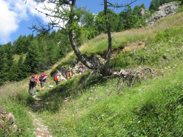 trekkingadamello006.jpg