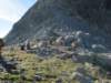trekkingadamello028_small.jpg