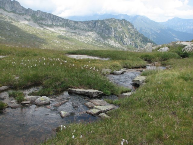 trekkingadamello036.jpg