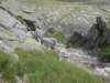 trekkingadamello043_small.jpg