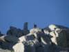 trekkingadamello049_small.jpg