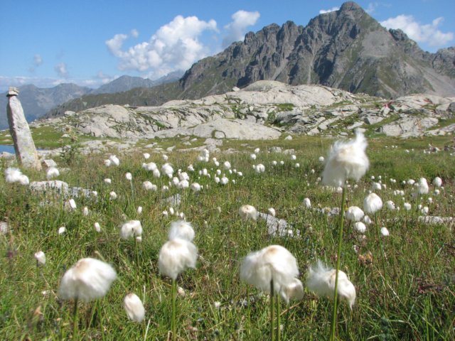 trekkingadamello060.jpg