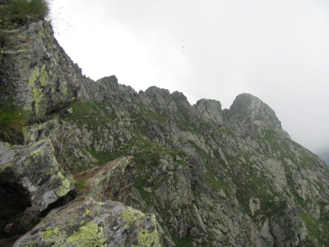 trekkingadamello089.jpg