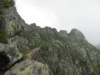 trekkingadamello089_small.jpg