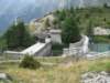 trekkingadamello109_small.jpg