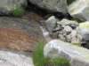 trekkingadamello159_small.jpg