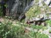 trekkingadamello170_small.jpg