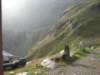 trekkingadamello172_small.jpg